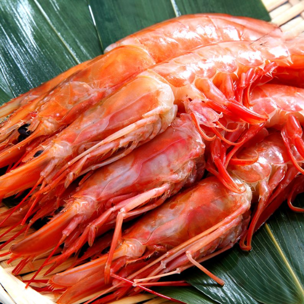 Tôm đỏ Nhật Bản giá sỉ