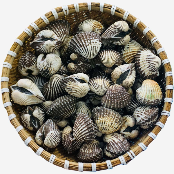 sò huyết cồ giá sỉ