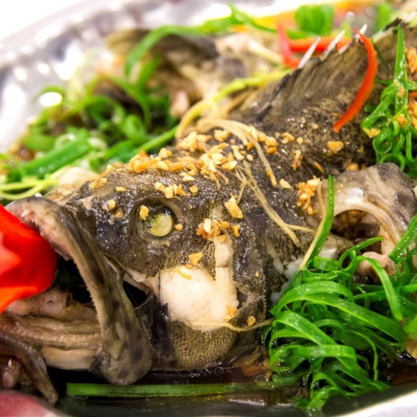 Cá mú giá sỉ