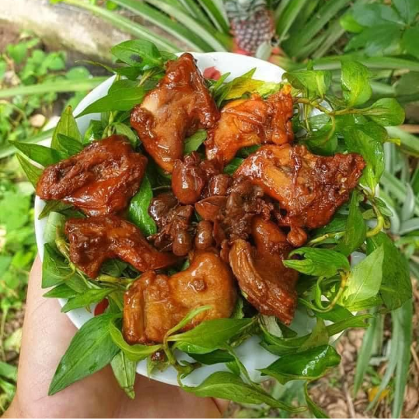 chuột đồng giá sỉ