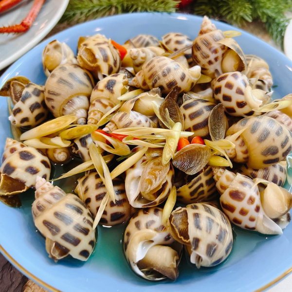 Ốc hương giá sỉ
